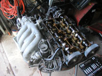 tête BP1.8